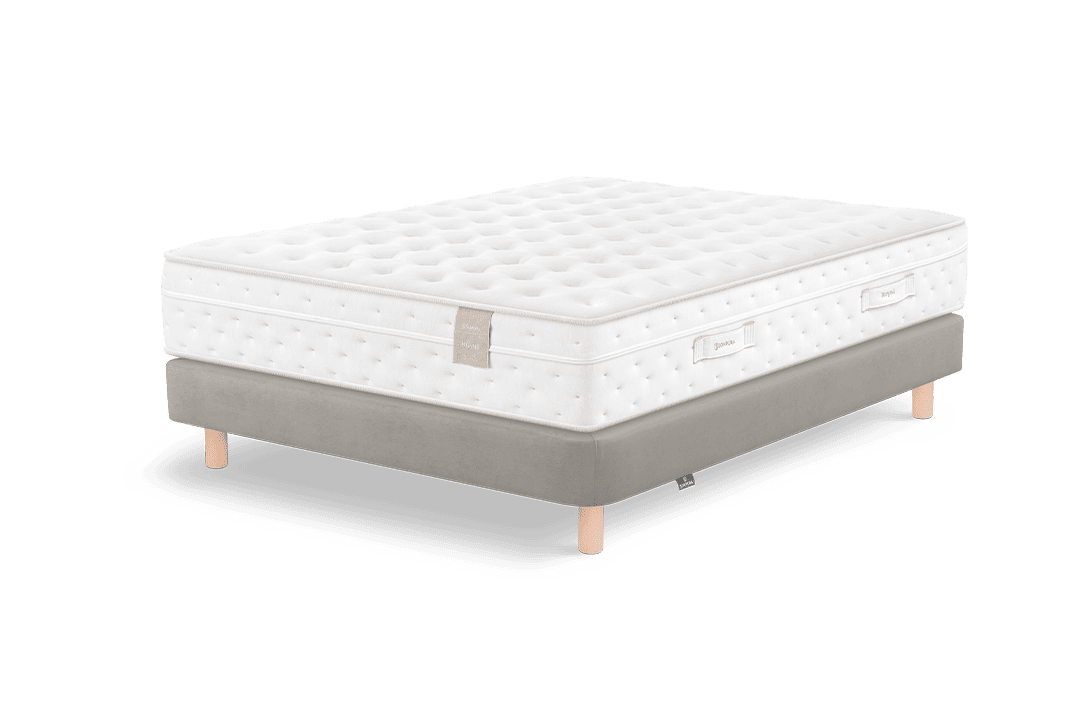 1990_51 (Royall – Classic Cler Hamster – PV Bajo) 1990_51 (Royall – Classic Cler Hamster – PV Bajo)