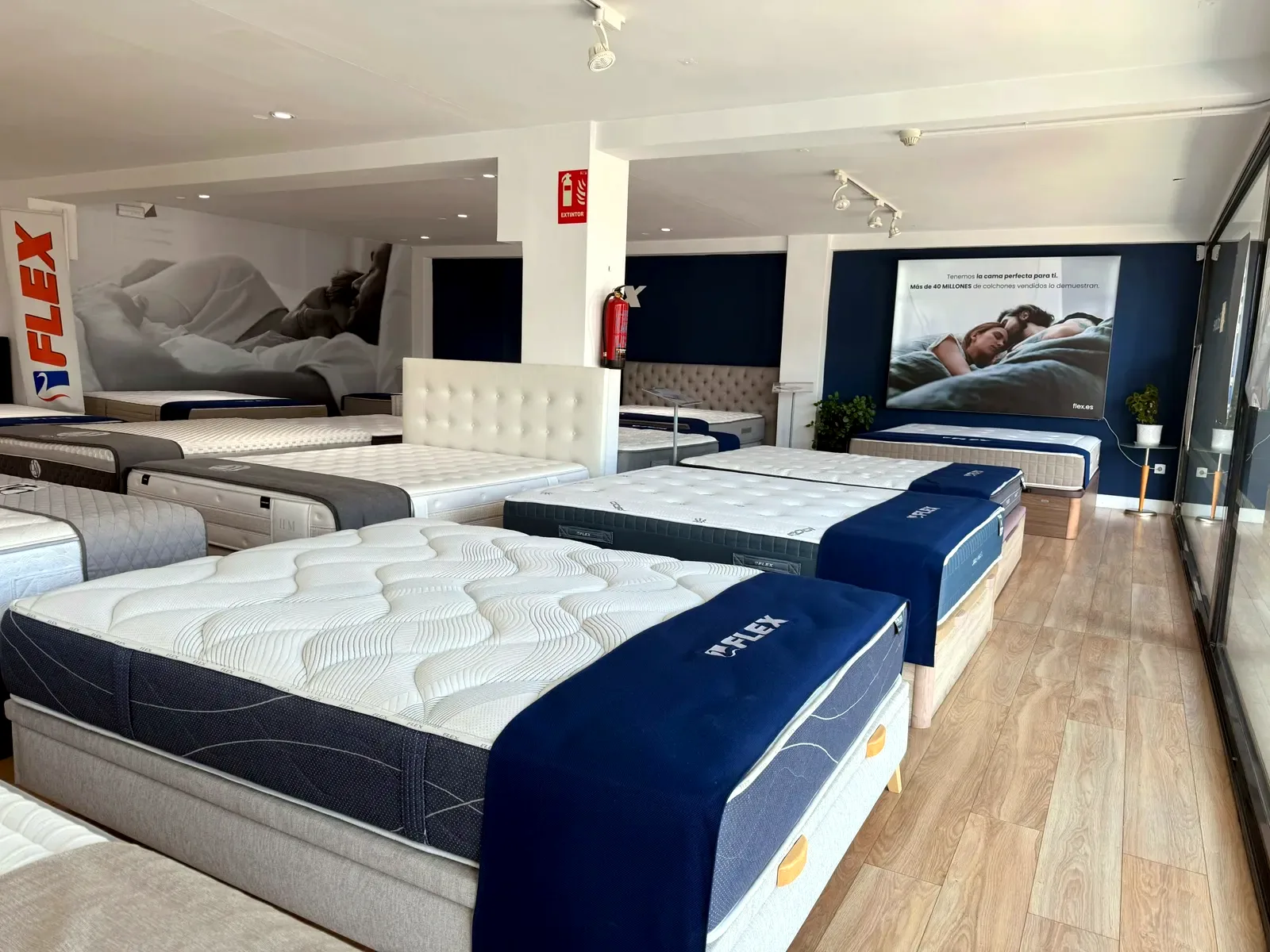 Espacio de la marca Flex con colchones y canapés junto al ventanal en la sede de Comunidad Colchonera en Rivas Vaciamadrid